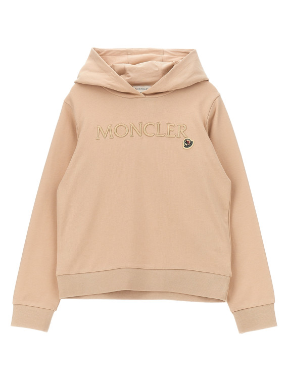 Embroidered hoodie #1