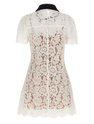 'White Lace Contrast Collar Mini' dress #