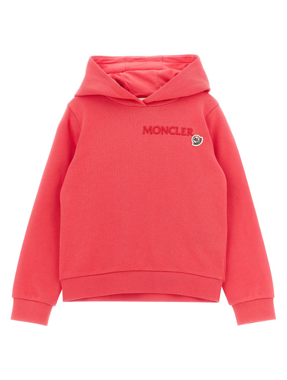 Logo embroidery hoodie #1