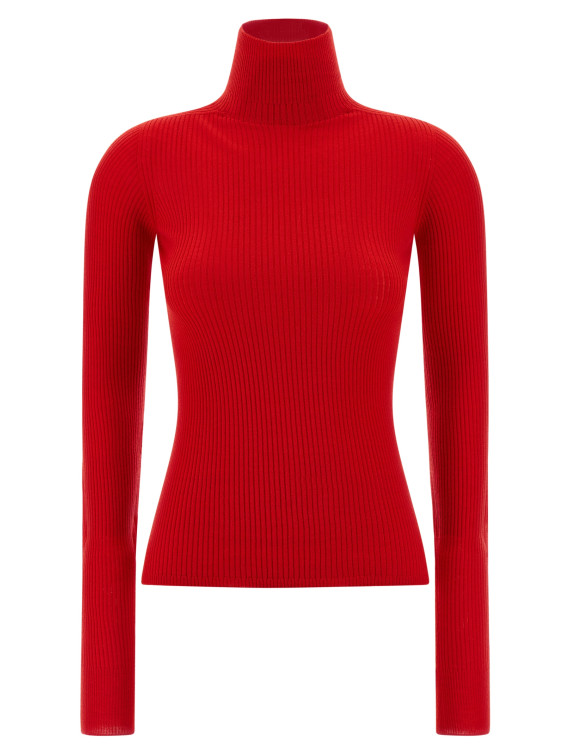 'Niagara' turtleneck sweater #1