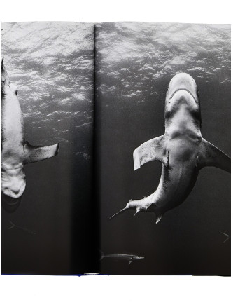 'Michael Muller. Sharks' book #