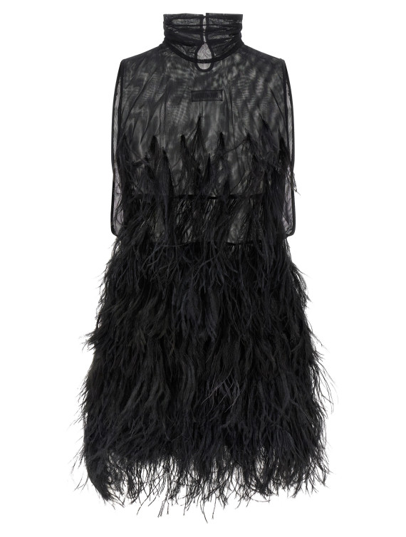 Ostrich feather dress #1