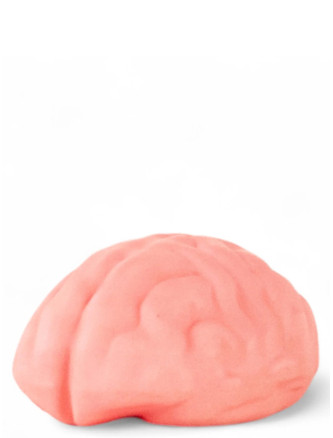 'Brainwash' soap dish #