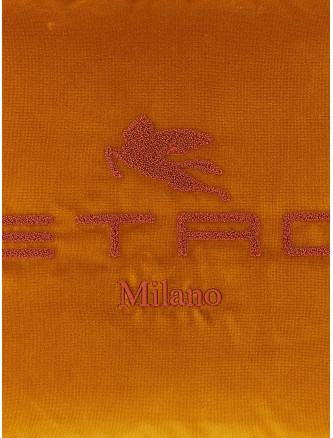 Spunga logo cushion #