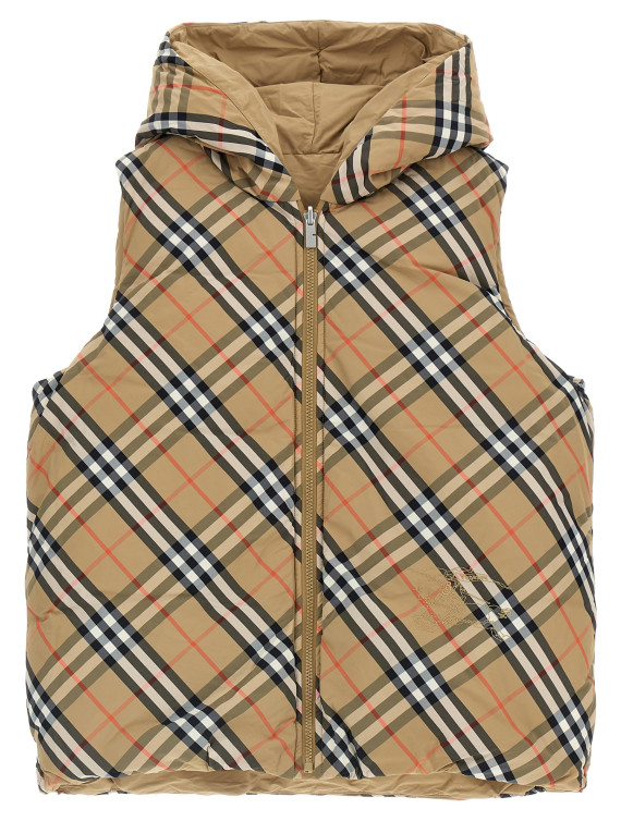 Reversible vest #1