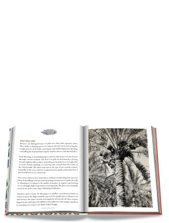 'Saudi Dates:A Portrait Of The Sacred Fruit' book #