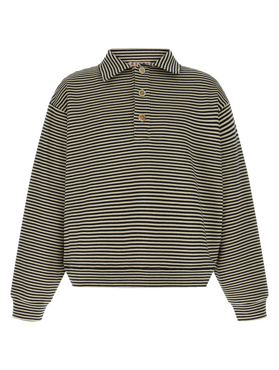 Striped polo sweatshirt #1