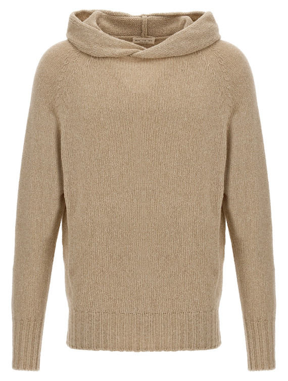 Hooded sweater #1