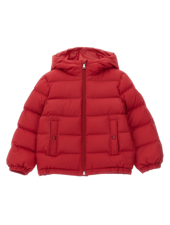 'Taidu' down jacket #1