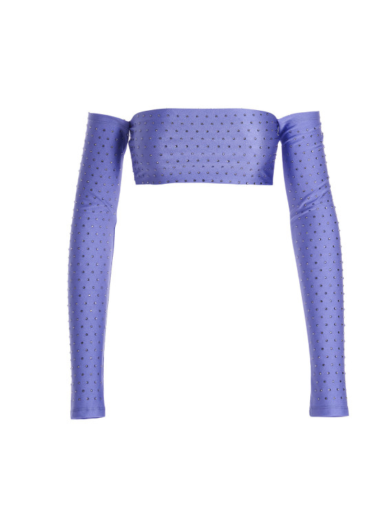 Crystal cropped top #1