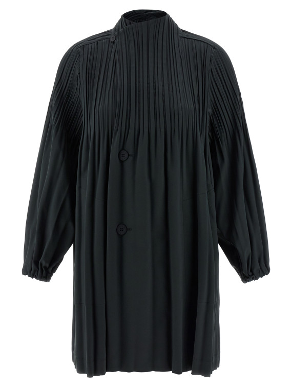 'Smooth Coat' coat #1