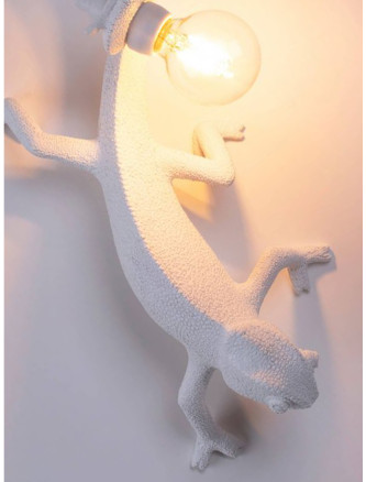 'Chameleon' lamp #