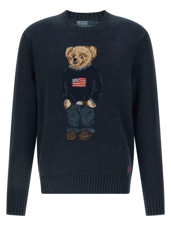 'Polo Bear' sweater #1