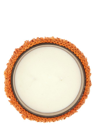 'Agrum Paradise' candle #