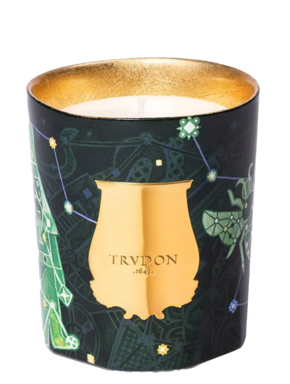 'Fir' candle 270 g #1