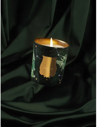 'Fir' candle 270 g #