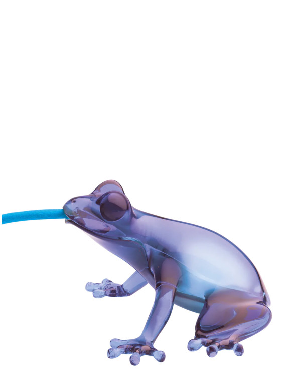 'Hungry Frog' lamp #1