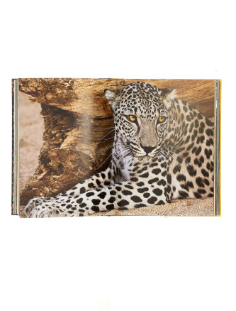 'Arabian Leopard' book #