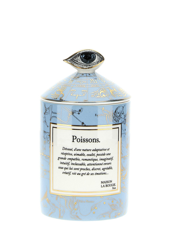 'Poissons' candle 350 gr #1