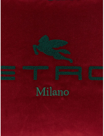 Spunga logo cushion #