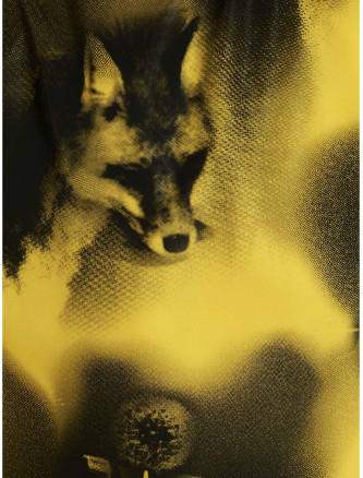 Re-Nylon printed parka #