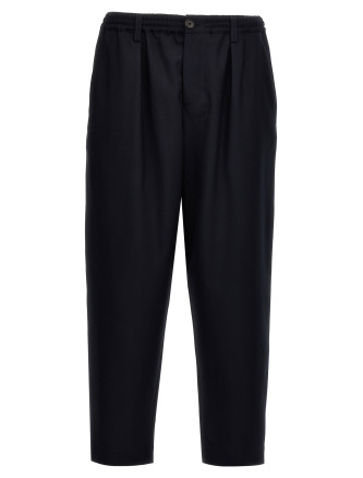 Tropical wool crop pants