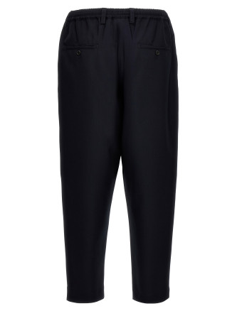 Tropical wool crop pants #