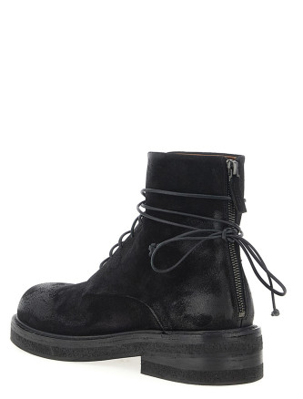 'Parrucca' amphibian #