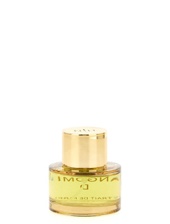 'Mangomina D' perfume extract 60 ml #