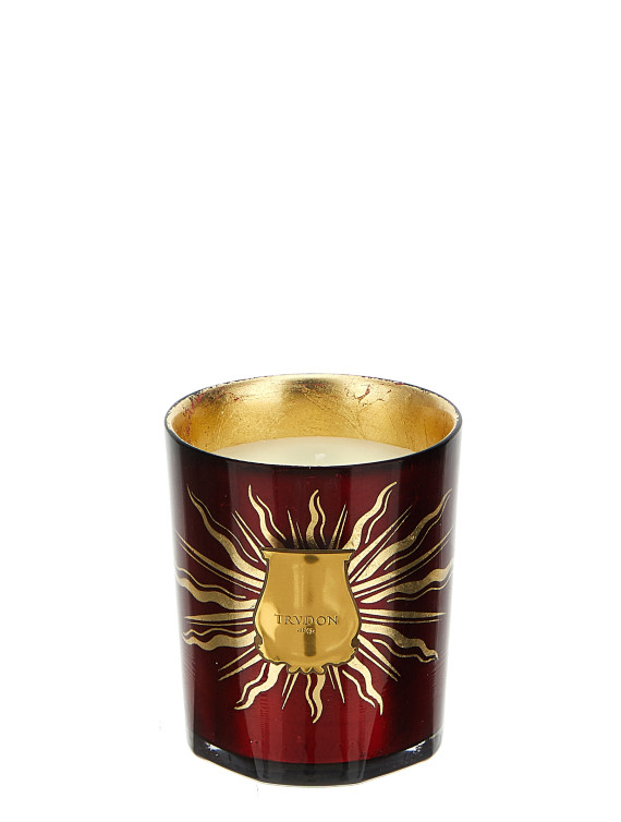 'GLORIA Wood and spices' candle 270 gr #1