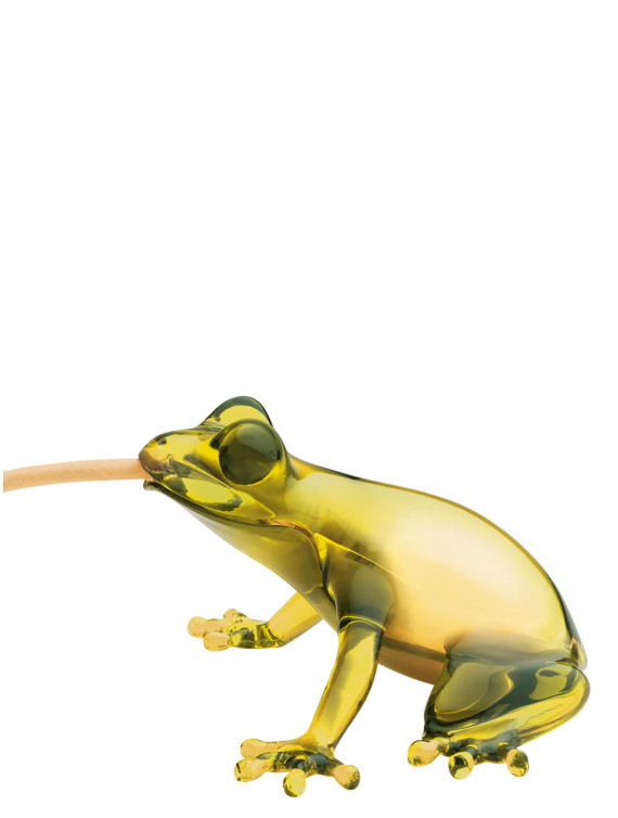 'Hungry Frog' lamp #1