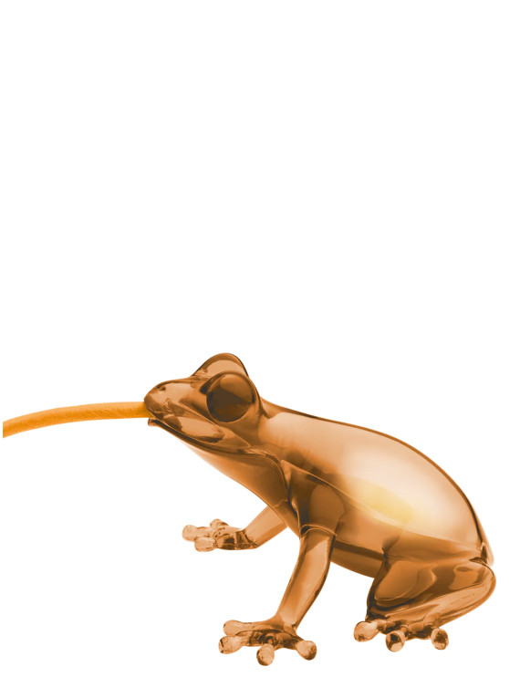 'Hungry Frog' lamp #1