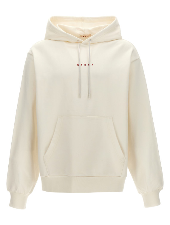 Logo hoodie #1
