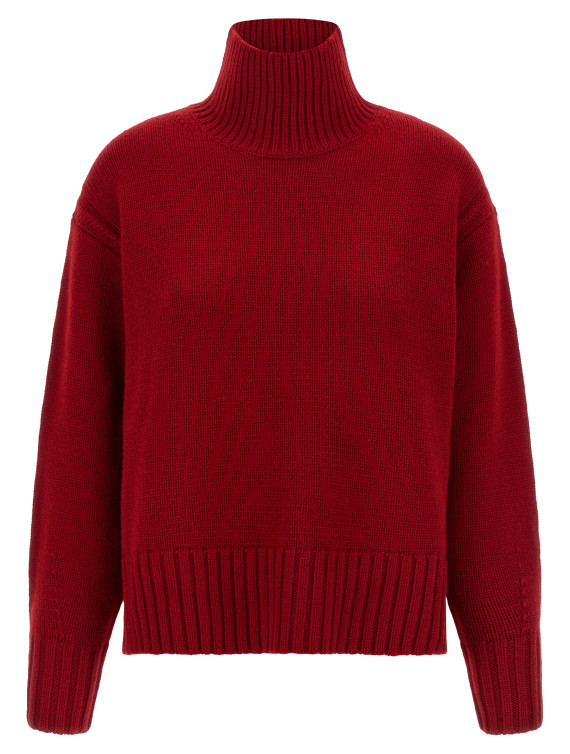 'Cozy Turtleneck' sweater #1