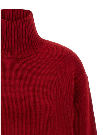'Cozy Turtleneck' sweater #