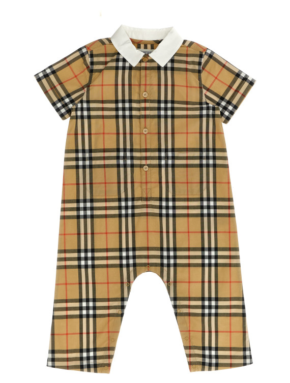 Pagliaccetto 'Andreas' #1