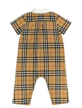 Pagliaccetto 'Andreas' #