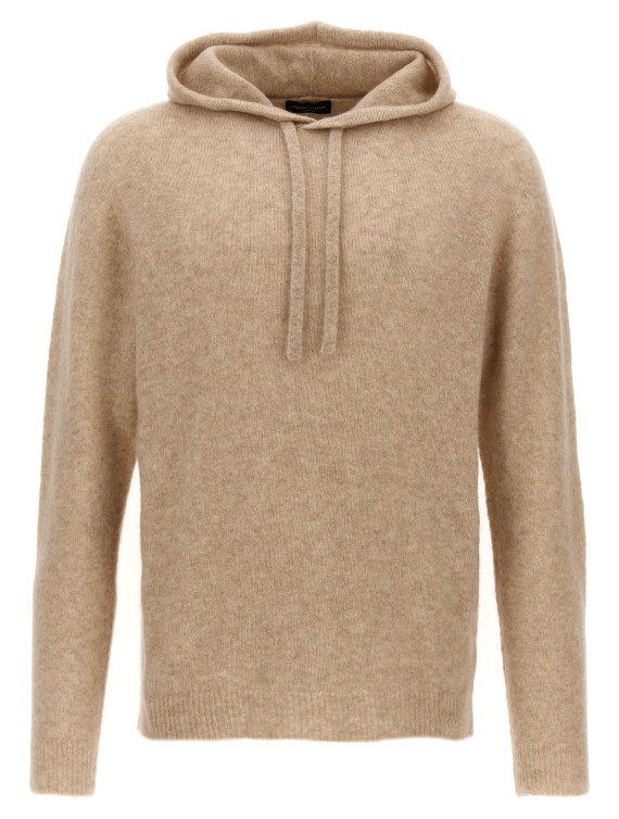 Hooded sweater #1