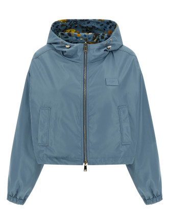 Reversible windbreaker #