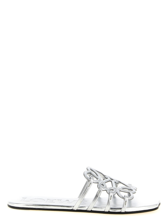 'Anagram Petal' slides #1