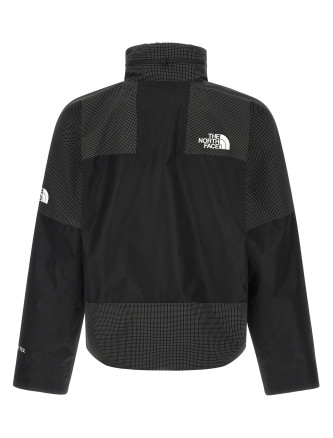 'Hike Devils Thumb GORE-TEX®' jacket (NF0A8CG3JK31) #