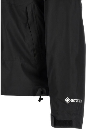 'Hike Devils Thumb GORE-TEX®' jacket (NF0A8CG3JK31) #