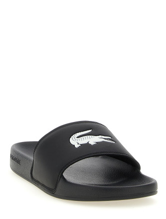 'Serve 0.0' slides (E03190312) #