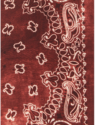 Шарф, платок GOLDEN GOOSE Paisley scarf (GUP01053P0006674038540385) #