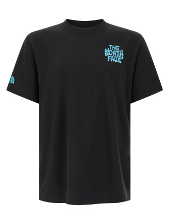 Футболка THE NORTH FACE 'Drip Logo'