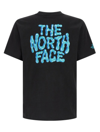 Футболка THE NORTH FACE 'Drip Logo' (NF0A8GABJK31) #