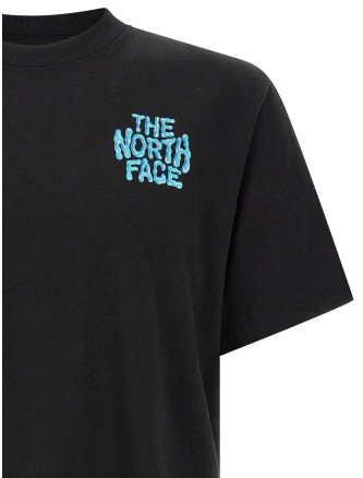 Футболка THE NORTH FACE 'Drip Logo' (NF0A8GABJK31) #