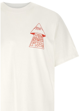 Футболка THE NORTH FACE 'Mountain Play' (NF0A8GQXFN41) #