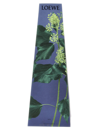 Свеча LOEWE 'Ivy' (LW67942IVY) #