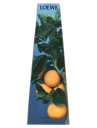 Свеча LOEWE 'Orange Blossom' (LW77217ORANGEBLOSSOM) #